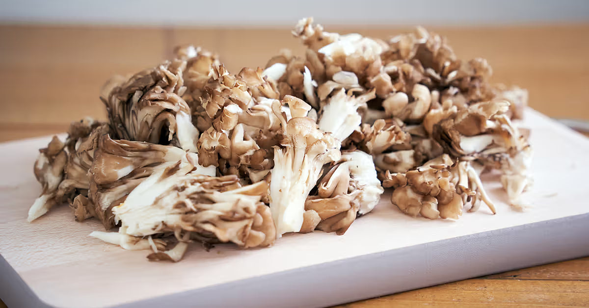 Maitake Mushroom