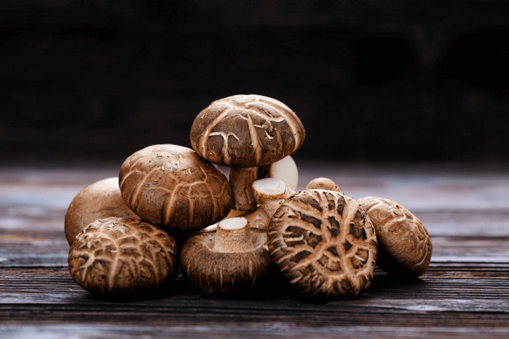 Shitake Mushroom